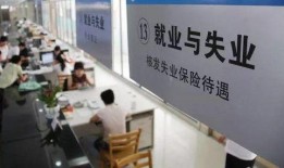 玉林失业金最新爆料,揭秘调整后的领取标准与申请流程